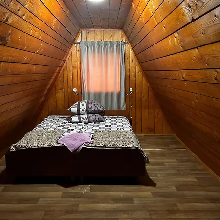 Hotel магніт Solotvyno